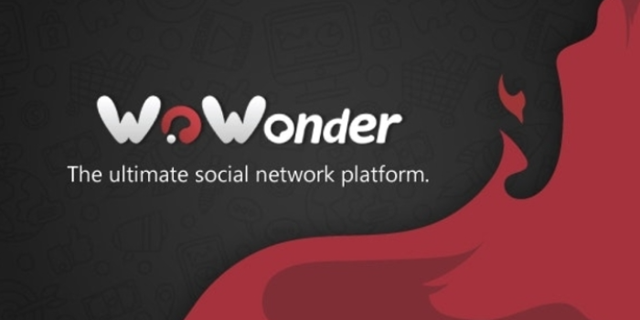 I will install wowonder script, update, customize to latest version